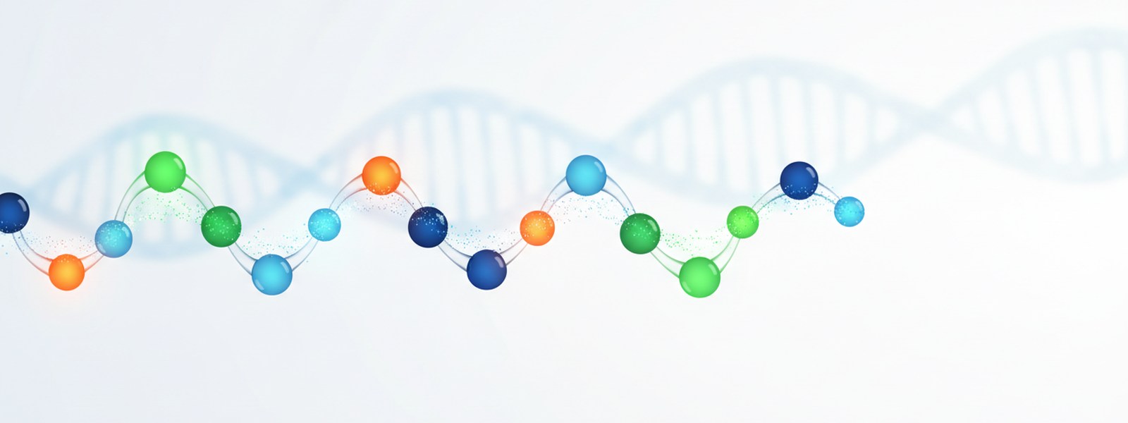 Struktura molekularna peptydu BPC-157 — pentadekapeptyd Body Protection Compound